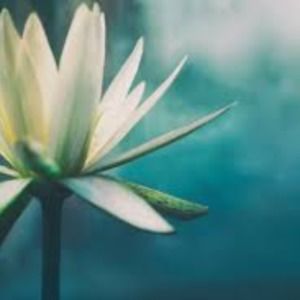 Meet your Posher, Mimi